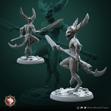 Imp Bundle